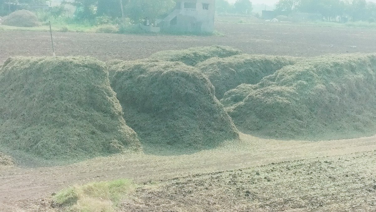 ભૂકો વેચવાનો છે