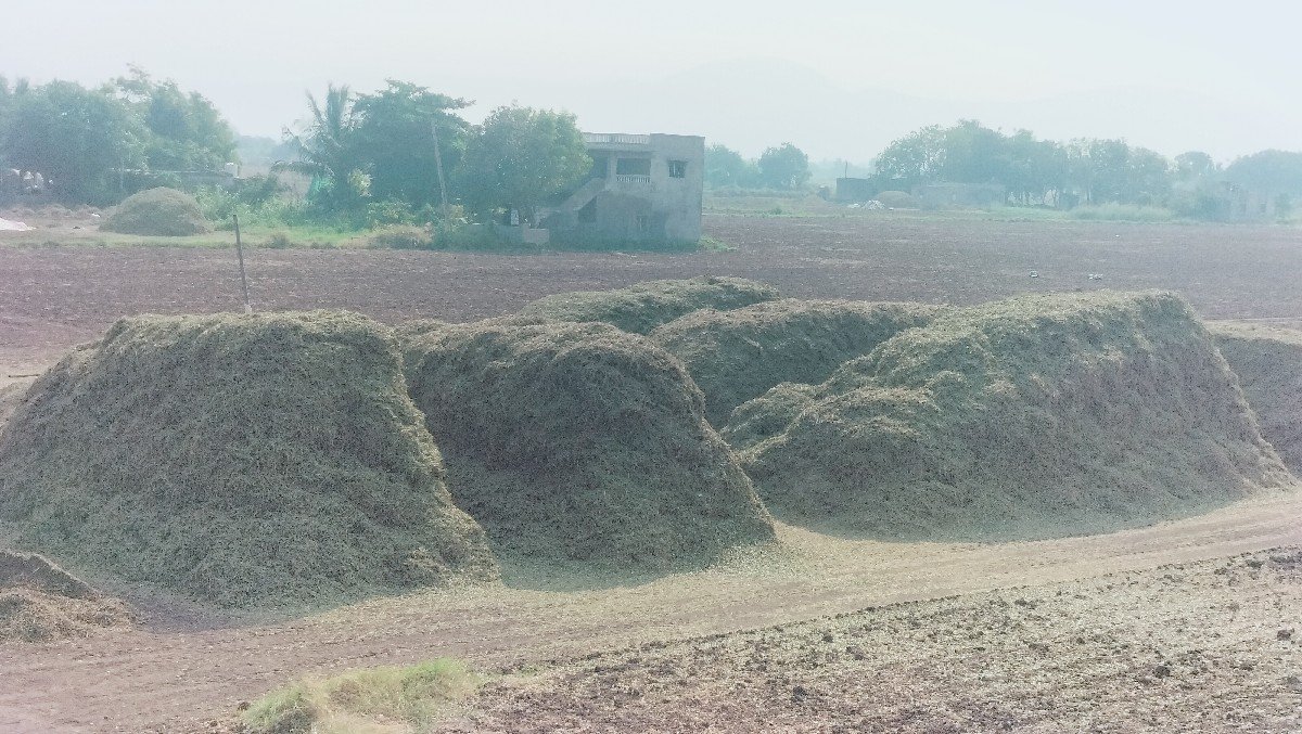 ભૂકો વેચવાનો છે