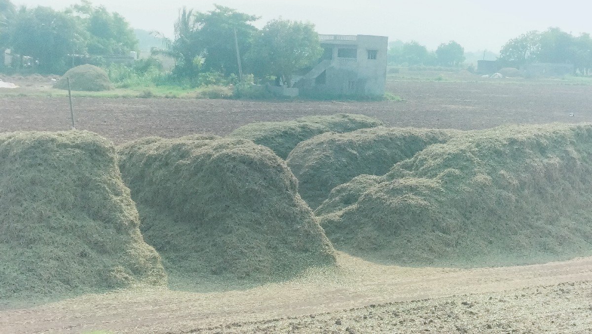 ભૂકો વેચવાનો છે