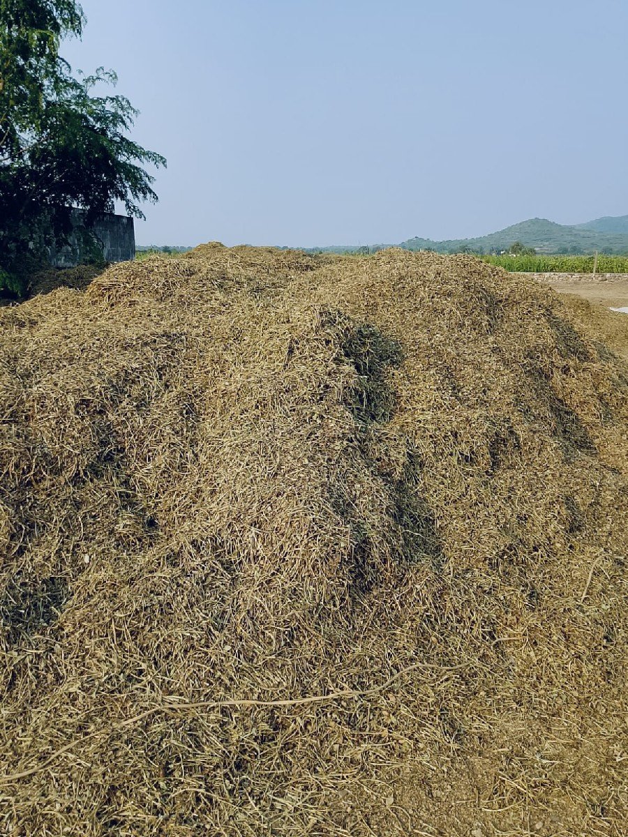 પરબત કુછડીયા