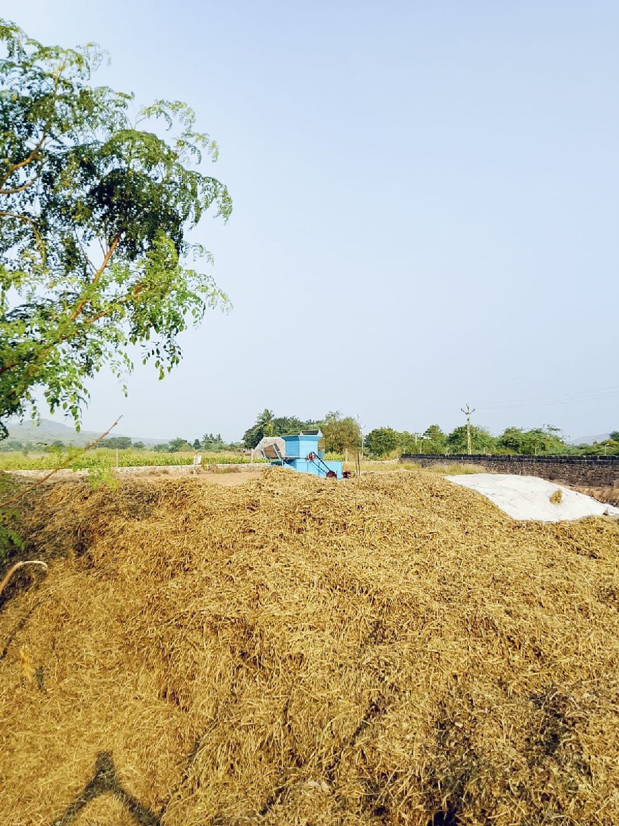 પરબત કુછડીયા