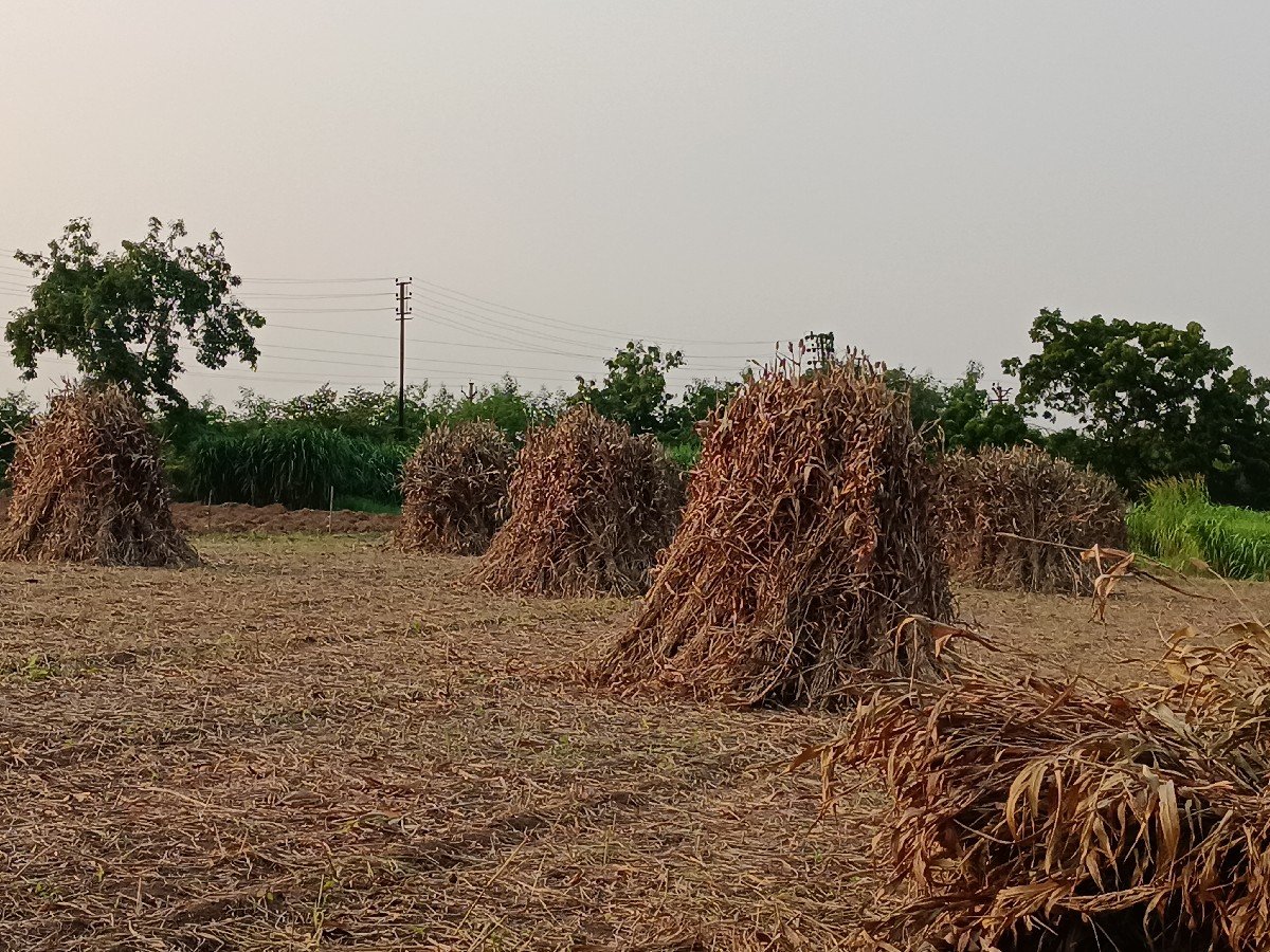 કડબ વેચવાની છે