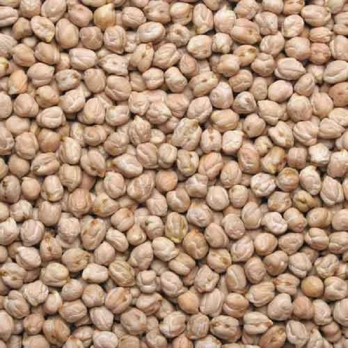કાબુલી ચણાનું વેચવા ના છે