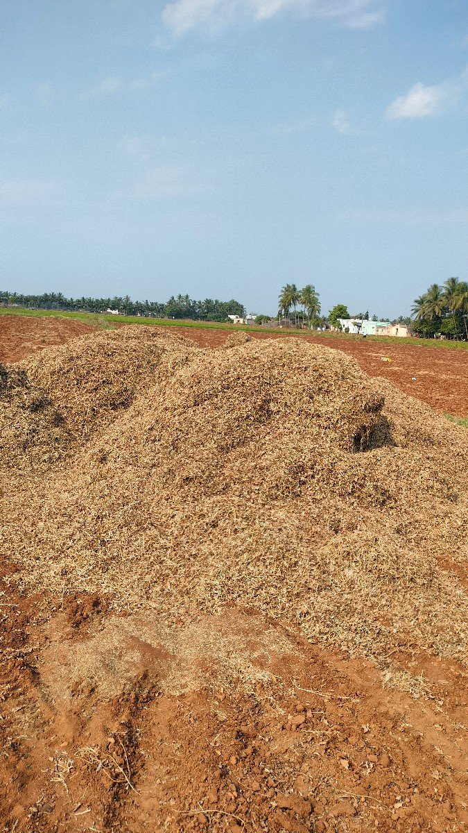 madaviyu