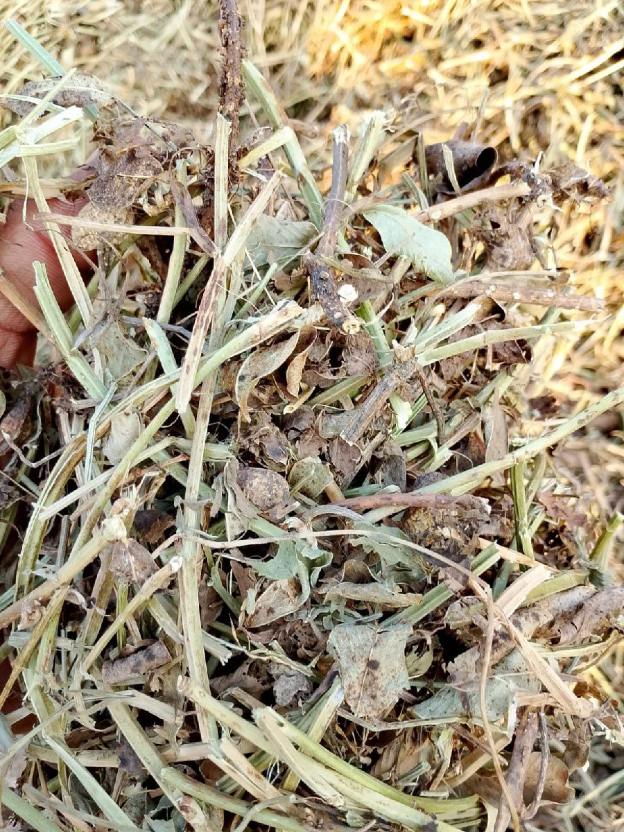 સાગરભાઈ કુછડીયા