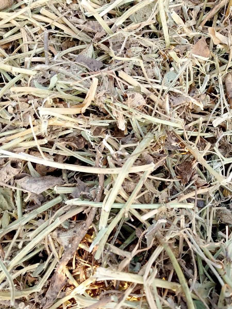 સાગરભાઈ કુછડીયા