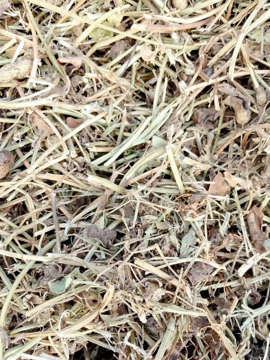સાગરભાઈ કુછડીયા