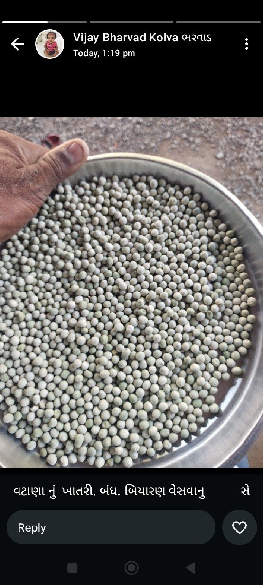 વટાણા