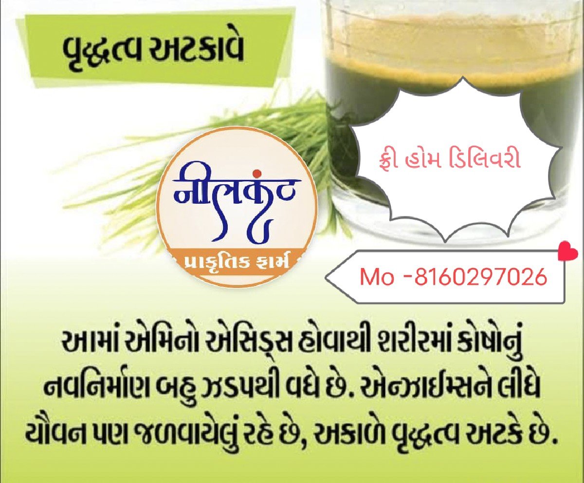 ઘઉં ના જુવારા નો પાવડર