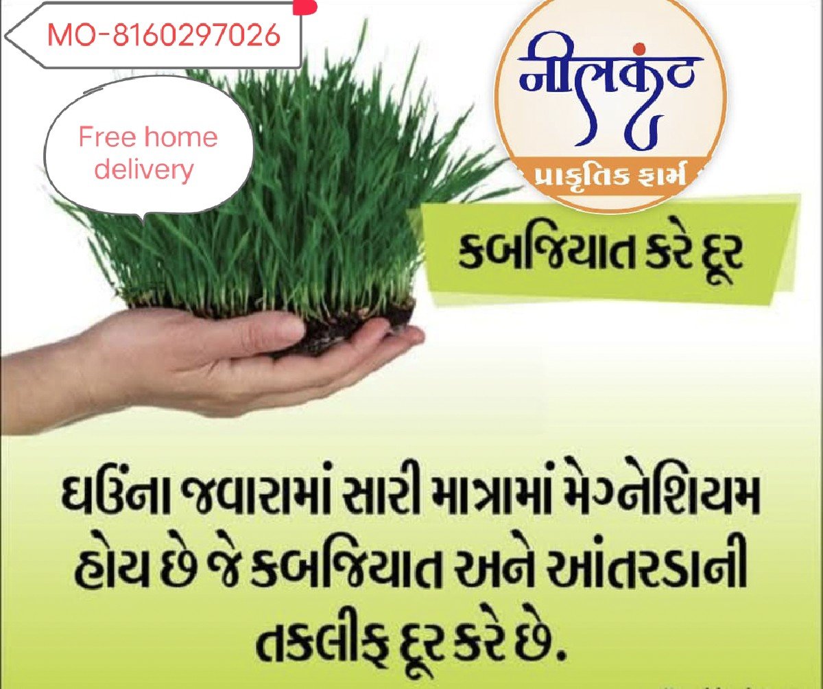 ઘઉં ના જુવારા નો પાવડર