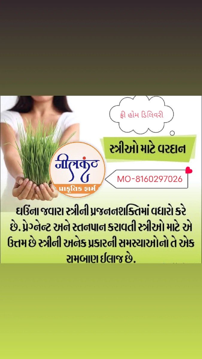 ઘઉં ના જુવારા નો પાવડર