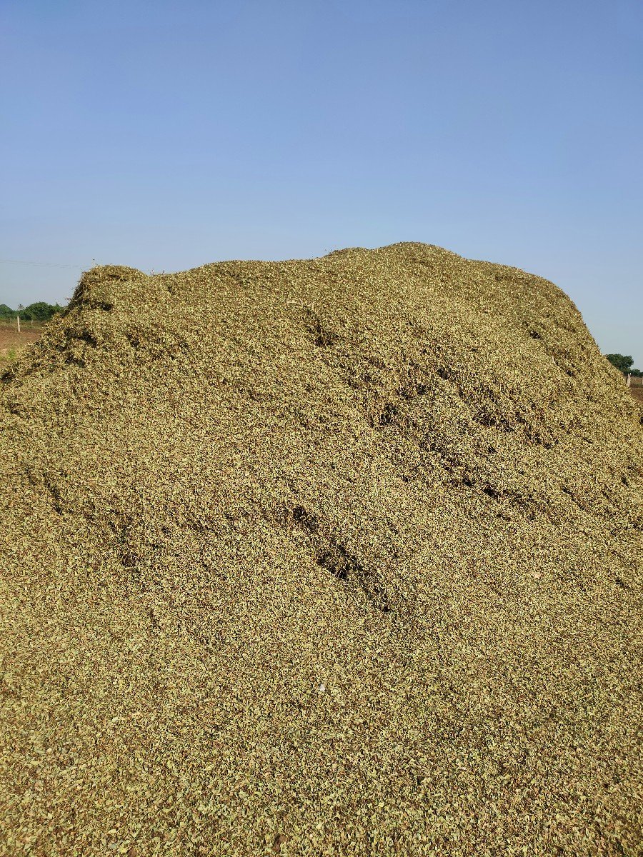 મગફળી નો ચારો