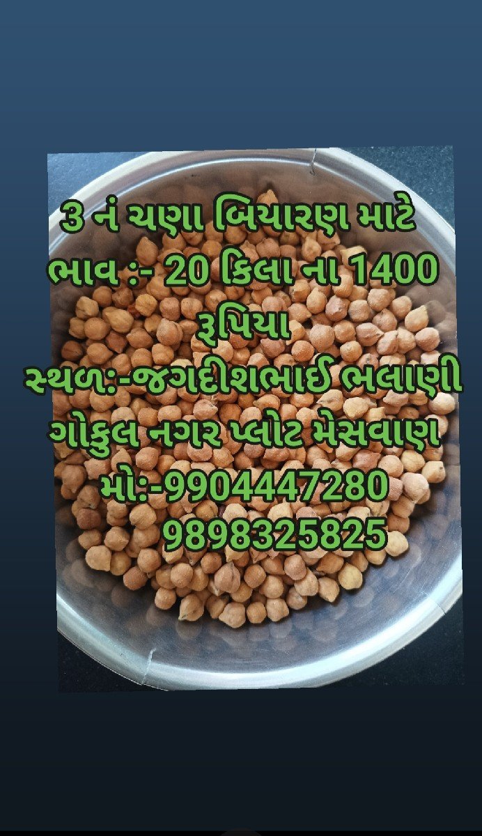 ચણા બિયારણ માટે