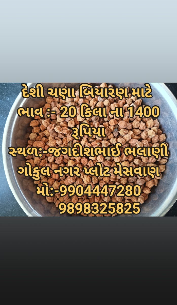 ચણા બિયારણ માટે