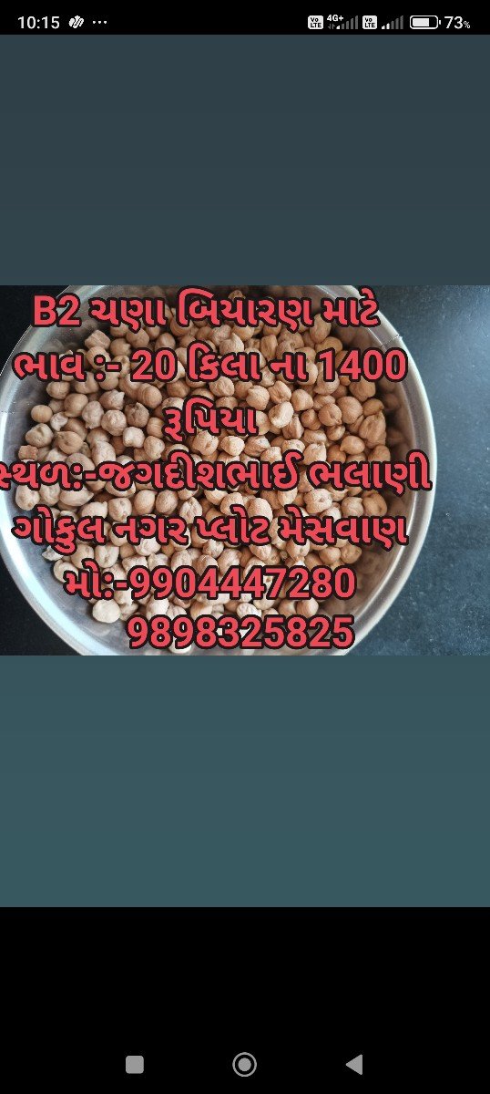 ચણા બિયારણ માટે