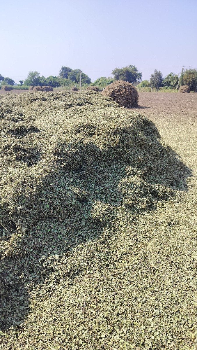 20 નંબર નો મઞફળી પાલો વેચવાનું છે