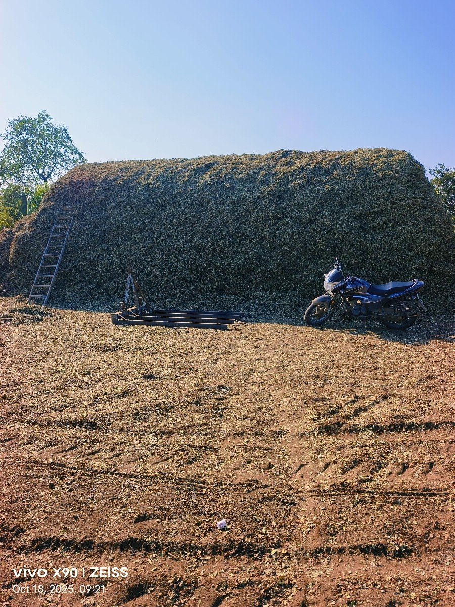 magafali no bhuko mandaviyu