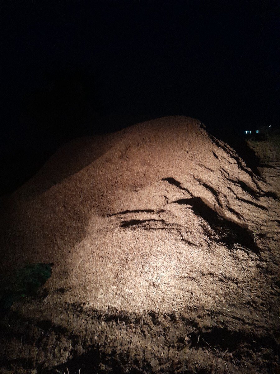 soyabin no bhuko