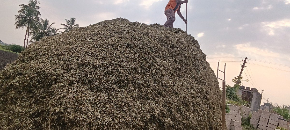 માંડવીયું વેચવાનું છે