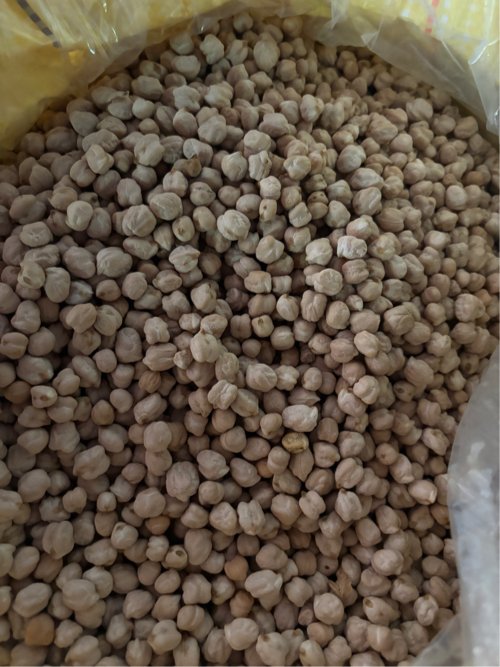 Kabuli chana 1 no