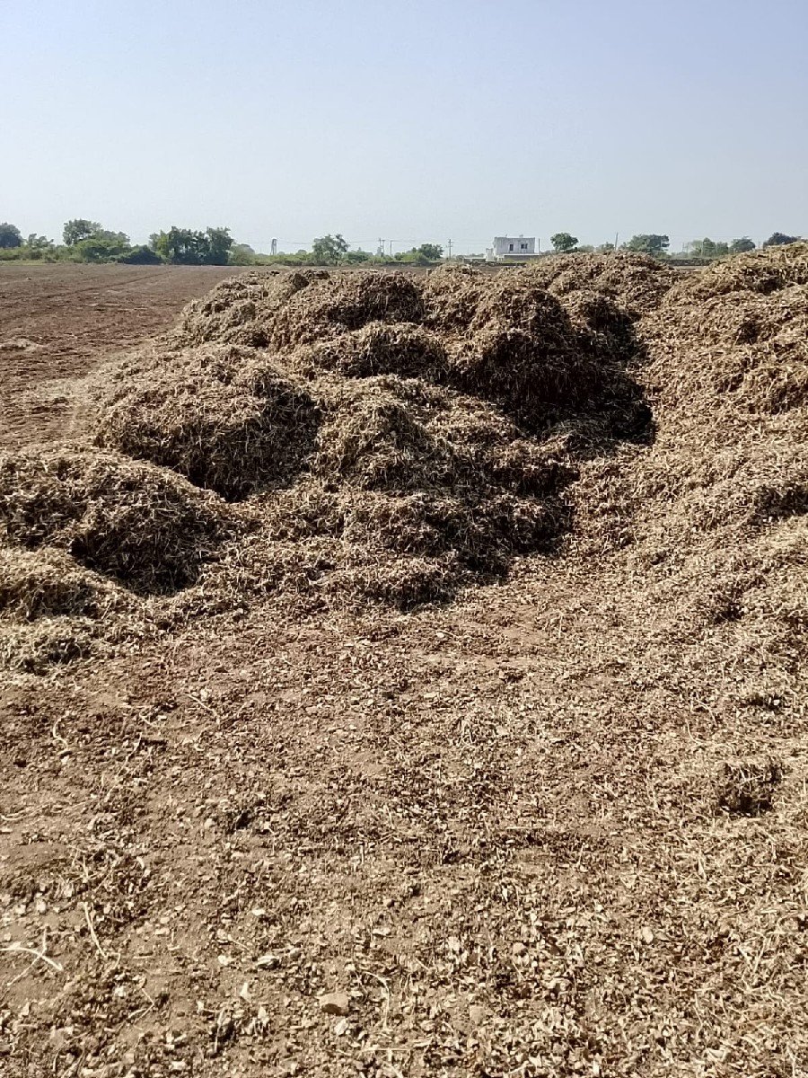 પરબતભાઈ