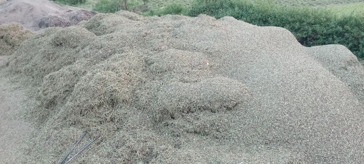 bhuko navo 11 vigha