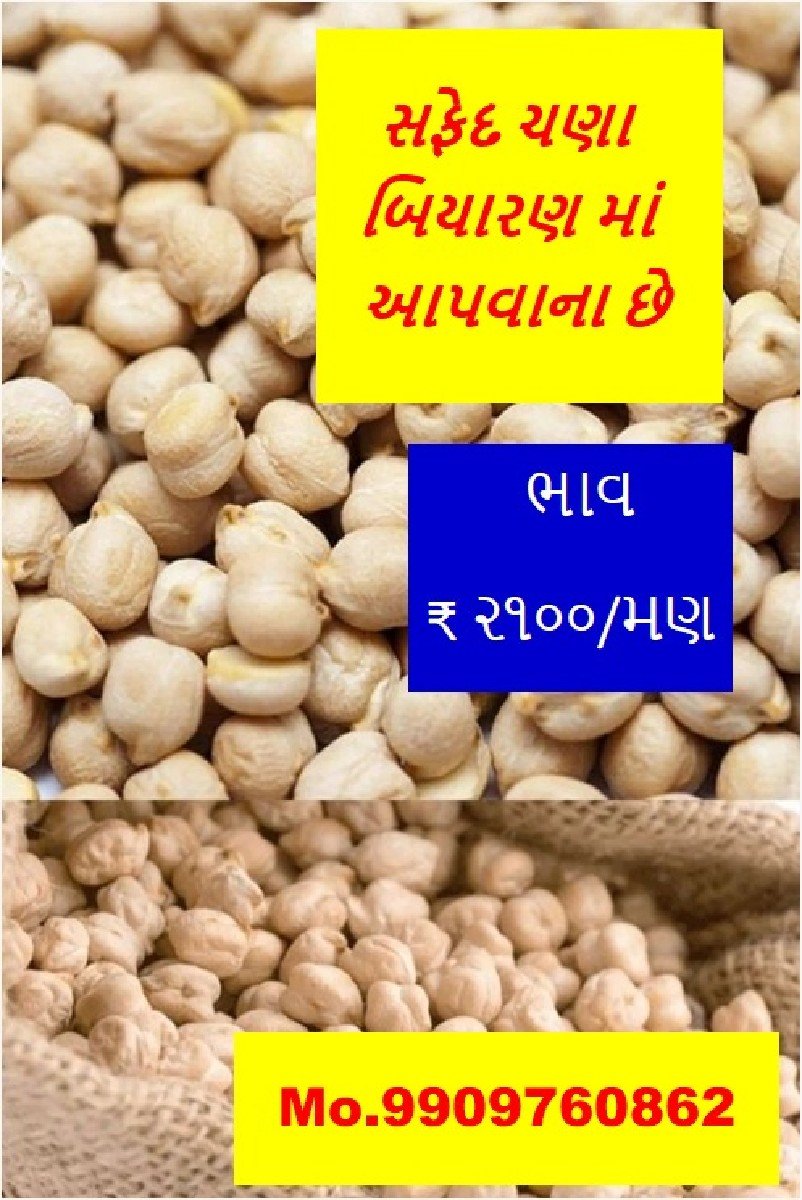 સફેદ ચણા