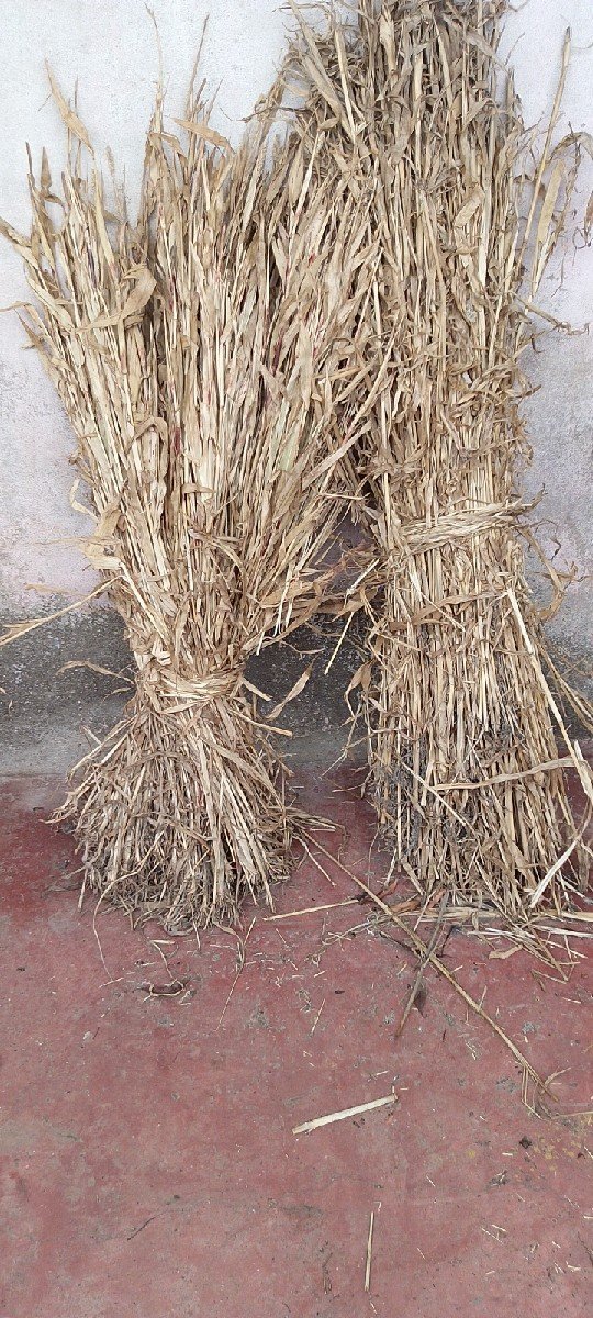 નીરણ વેચવાની છે