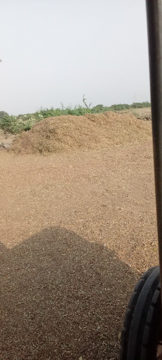 5 vigha no bhuko