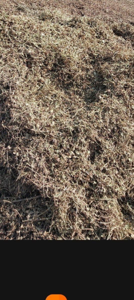 માંડવિયી લેવા માટે મળો