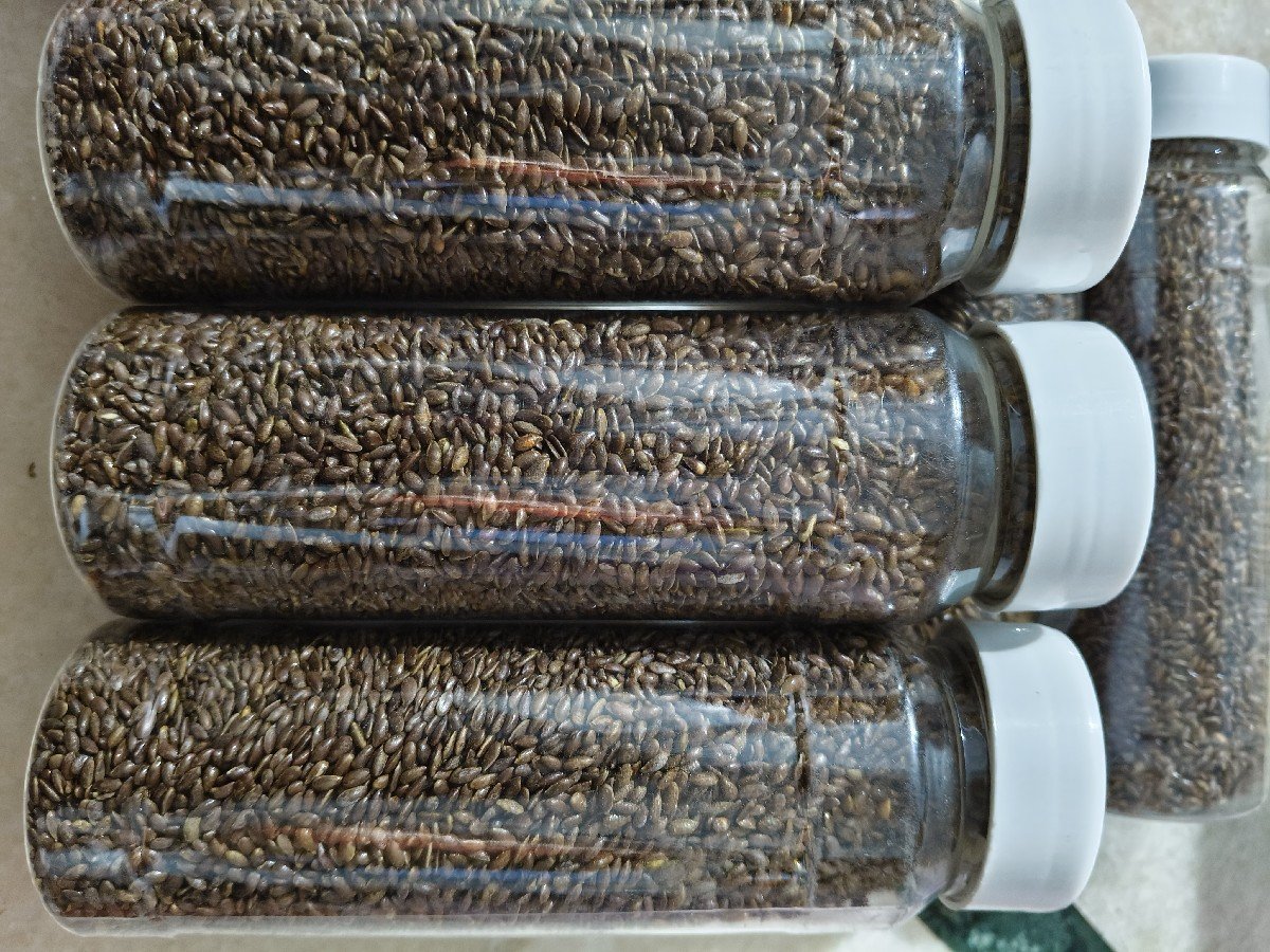 alsi mukhvas ( અળસી મુખવાસ)