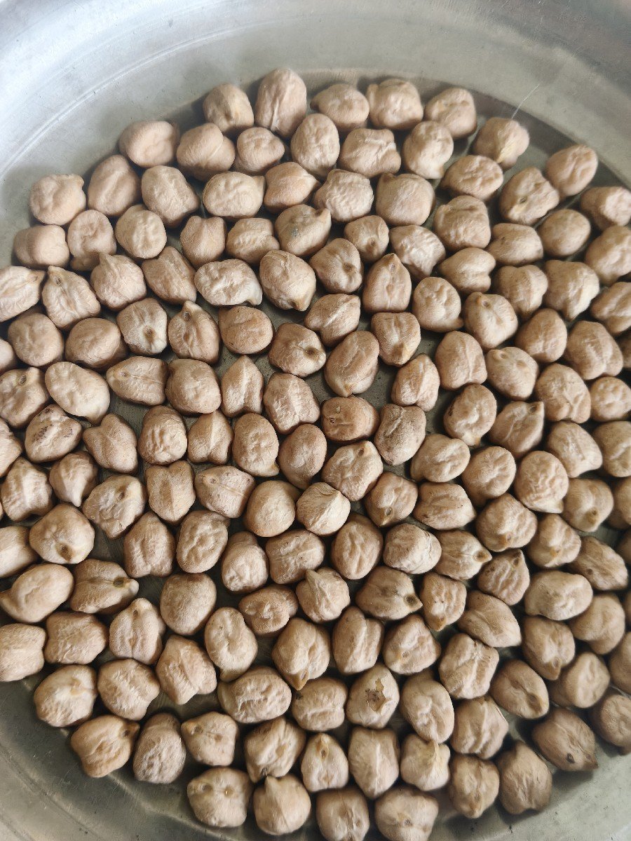 સફૅદ બિટુ ચણા.