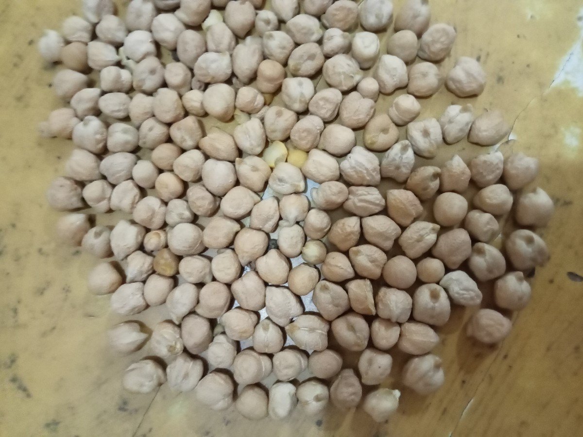 B2 સફેદ ચણા બ્યારનમાં દેવાના