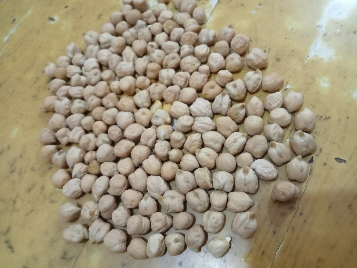 B2 સફેદ ચણા બ્યારનમાં દેવાના