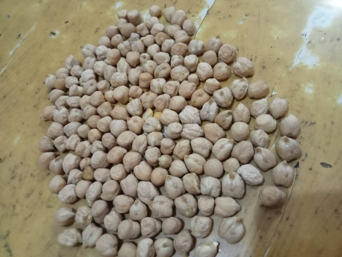 B2 સફેદ ચણા બ્યારનમાં દેવાના