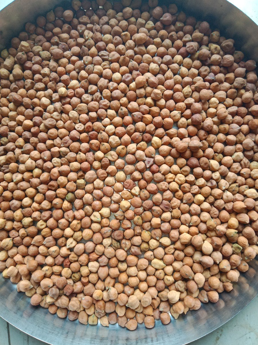 5  નંબર
