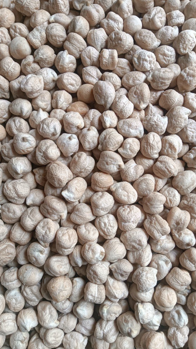સફેદ બી 2 ચણા વેચવાના છે.