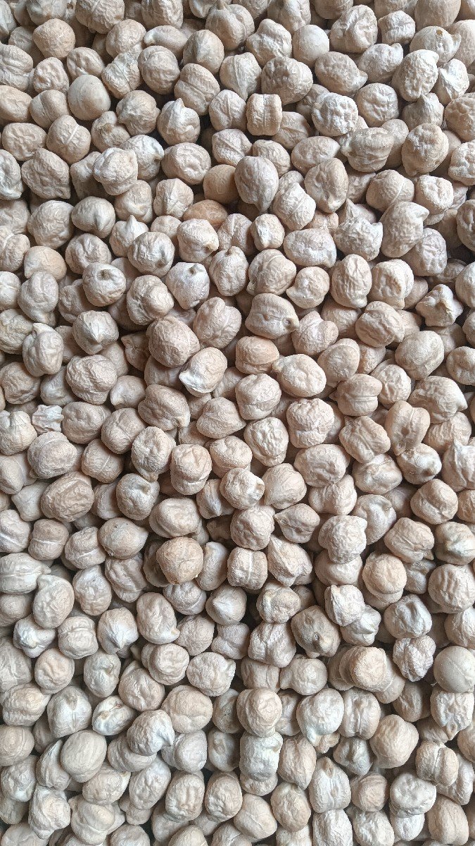 સફેદ બી 2 ચણા વેચવાના છે.
