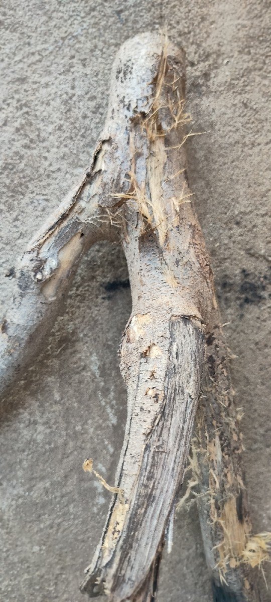 બરતન વેસવાના છે