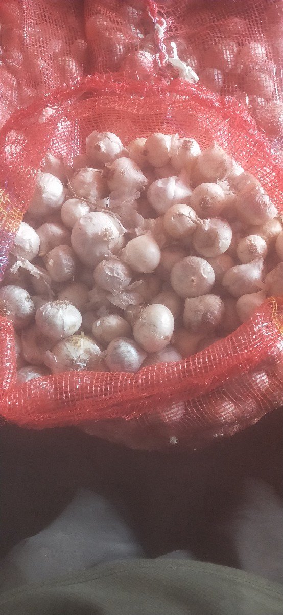 સફેદ ડુંગળી