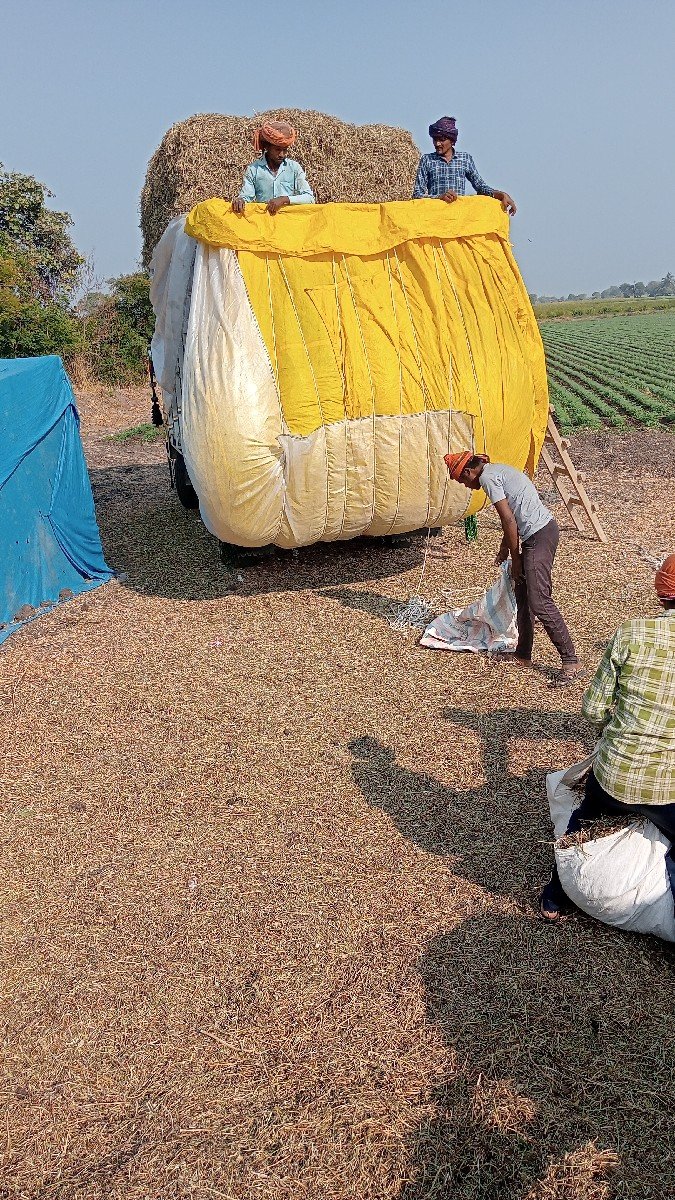 માંડવિયું લેવા માટે મળો
