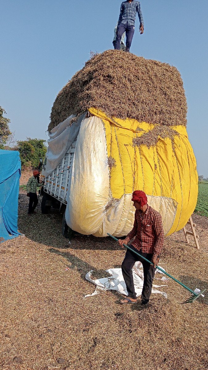 માંડવિયું લેવા માટે મળો