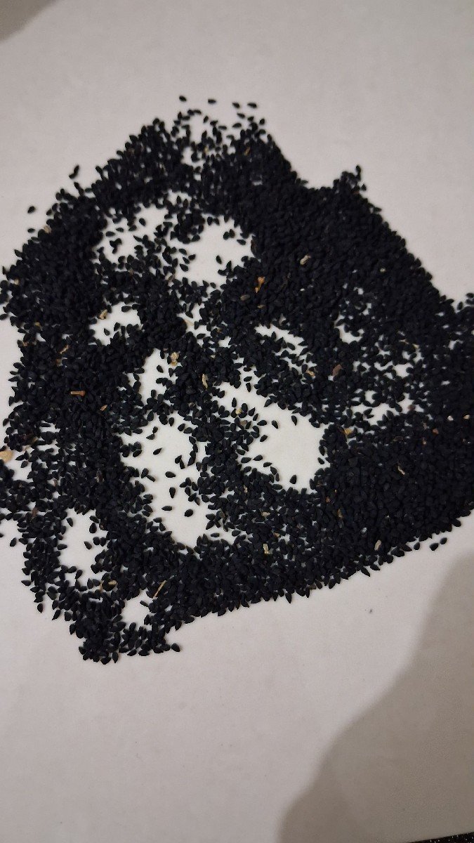 kalonji nu biyaran