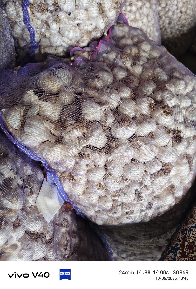લસણ વેચવાનું છે