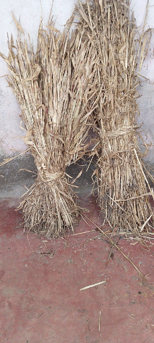 નીરણ વેચવાની છે