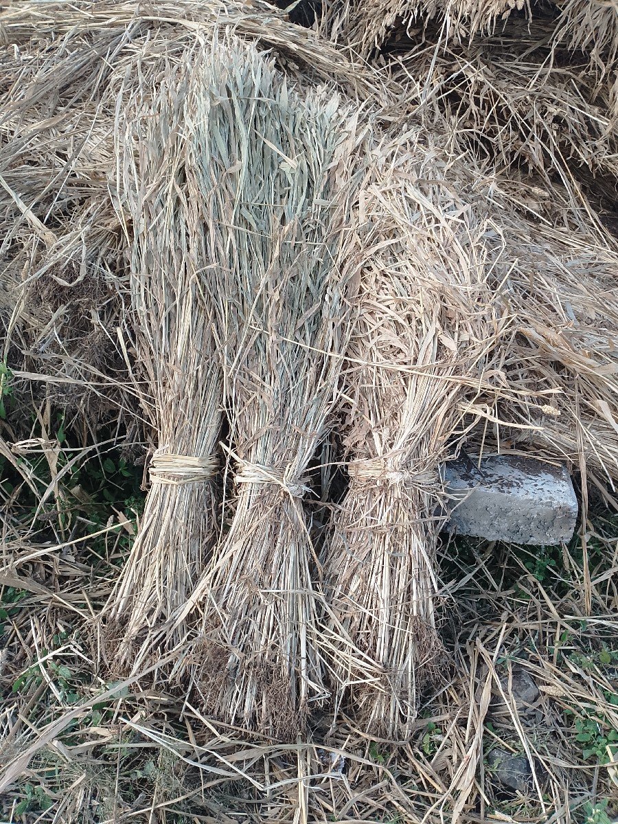 જાર વેચવાની સે