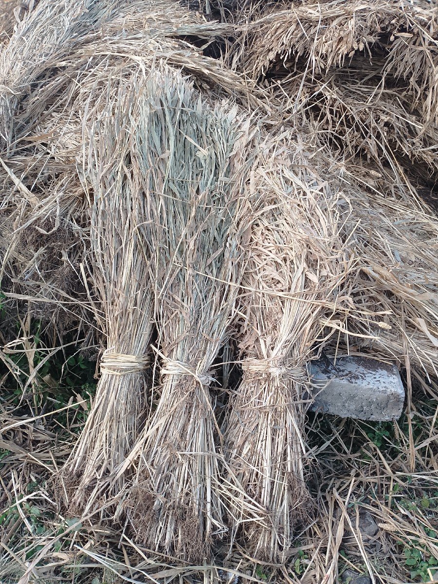 જાર વેચવાની સે