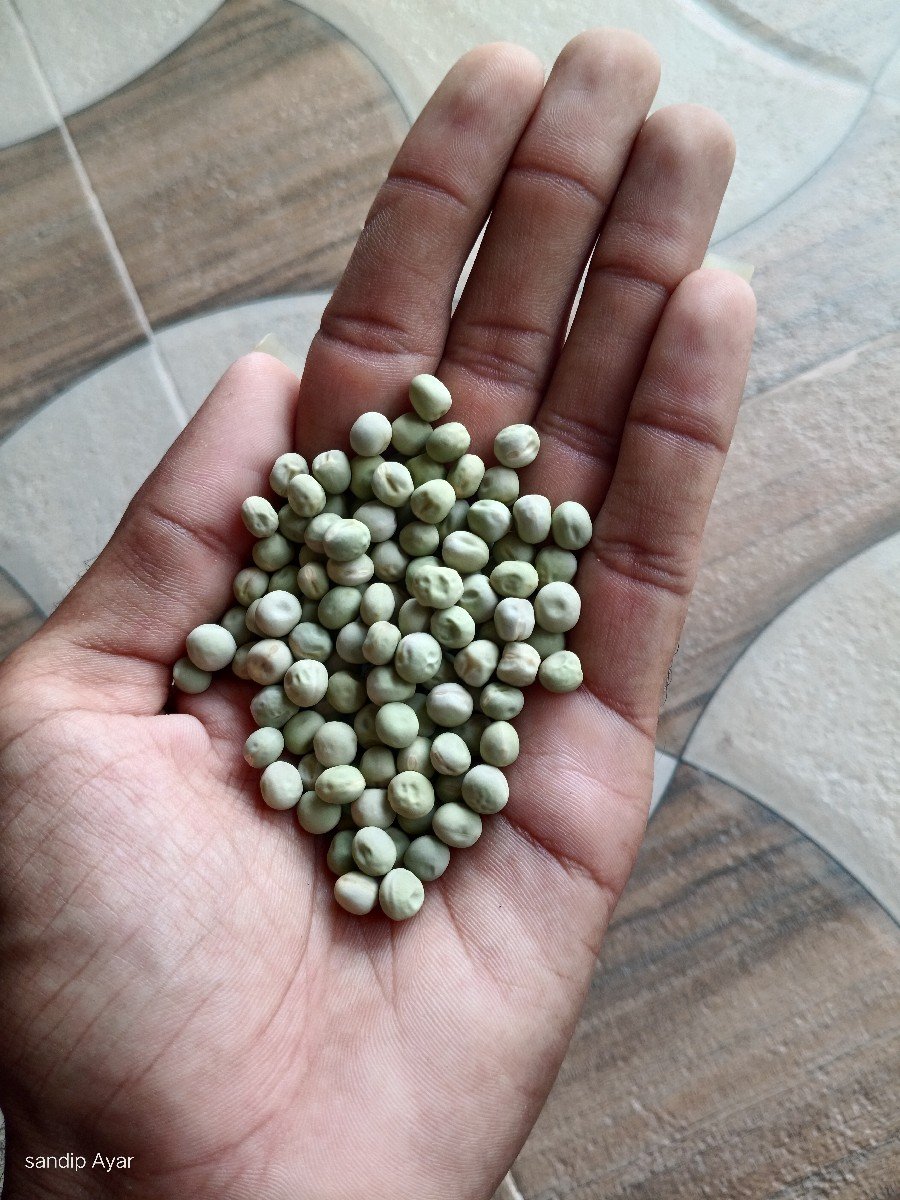 વડાણા