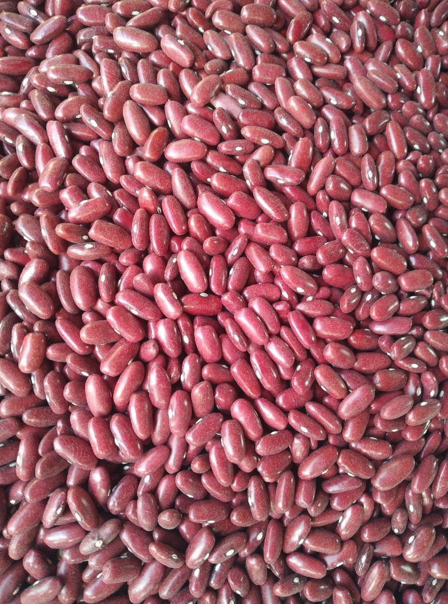 રાજમા ‌ ‌2800
