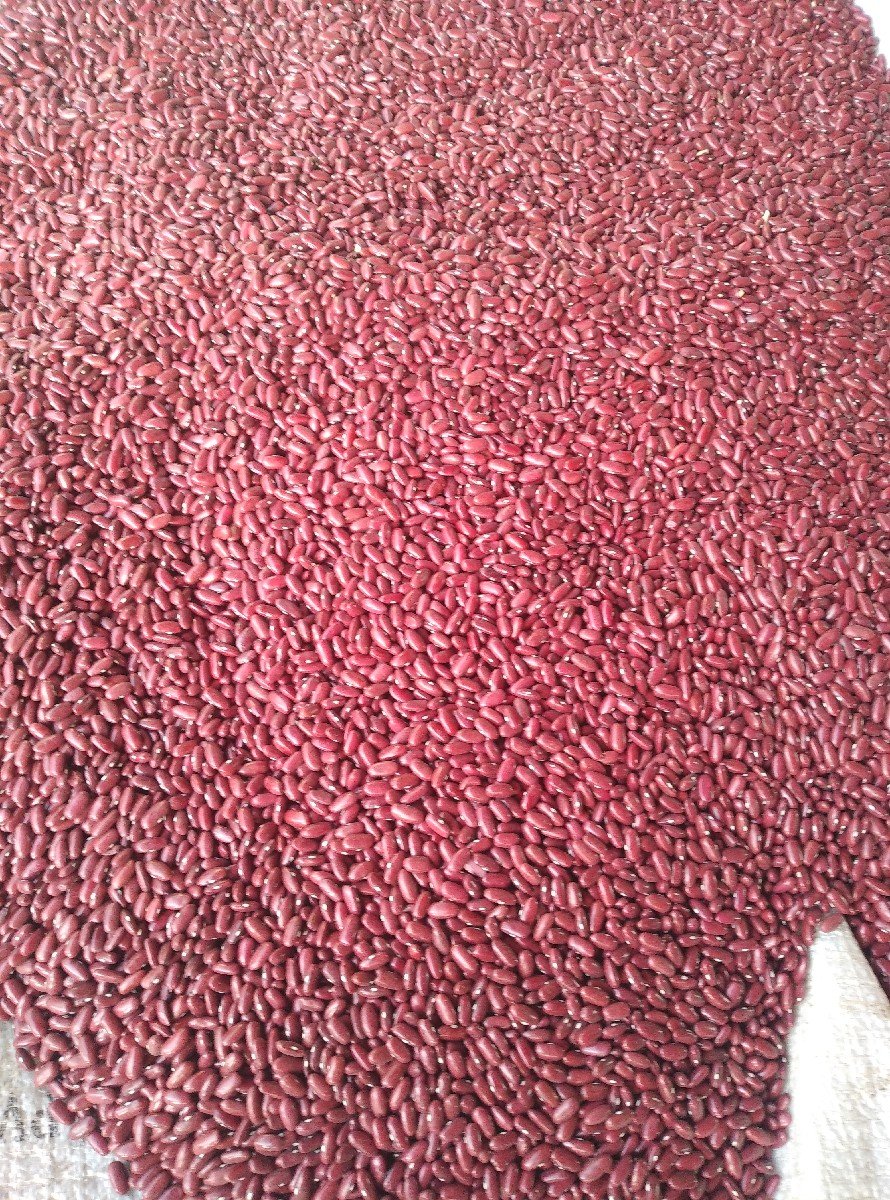 રાજમા ‌ ‌2800